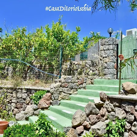 Casa Di Iorio Vakantiehuis Ischia