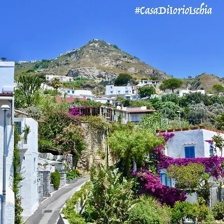 Casa Di Iorio 別荘 イスキア島