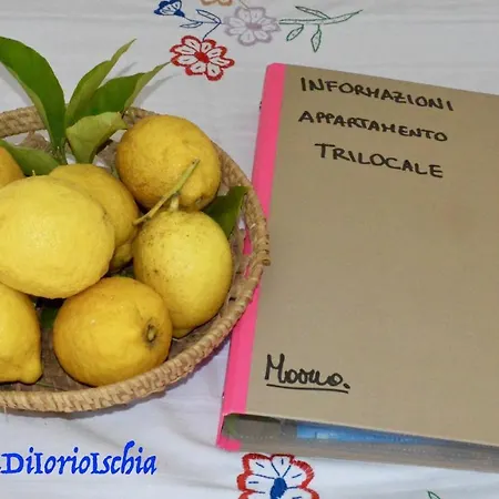 別荘 Casa Di Iorio イスキア島